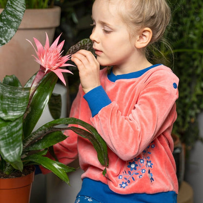 Organic Cotton Velour Long Sleeved Sweatshirt - Strawberry Pink