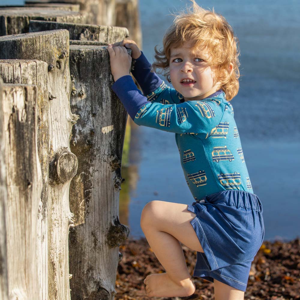 Organic Blend Long Sleeve Henley Bodysuit - Surfer Van: Size 6-9M