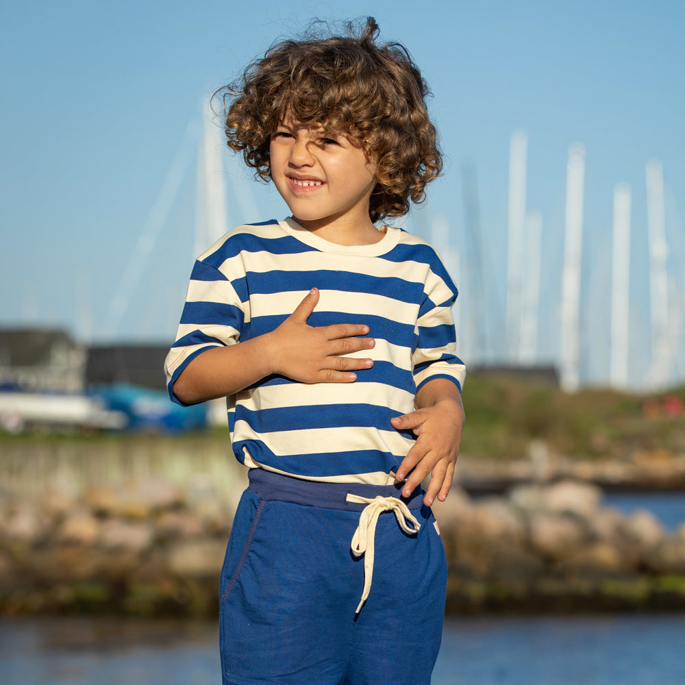 Organic Blend Blue Striped Short Sleeve T-Shirt: Size 2Y